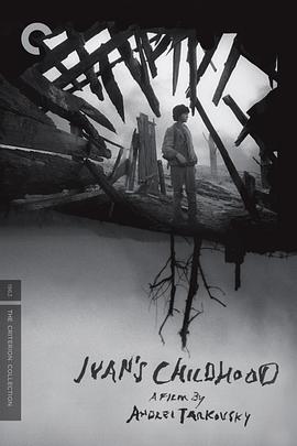 老练律师第一季