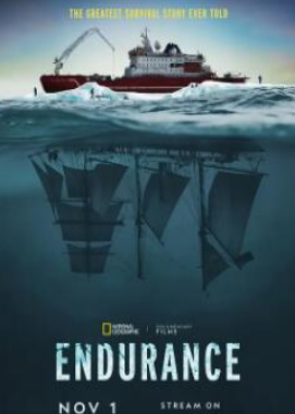 生机勃勃的我们第二季