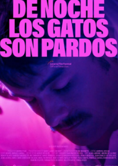 极速前进第三十五季