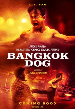 女友成堆第二季