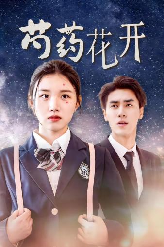 今天也是女演员