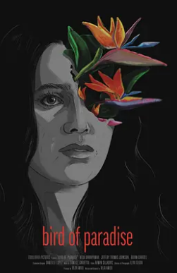 晚间看地球粤语