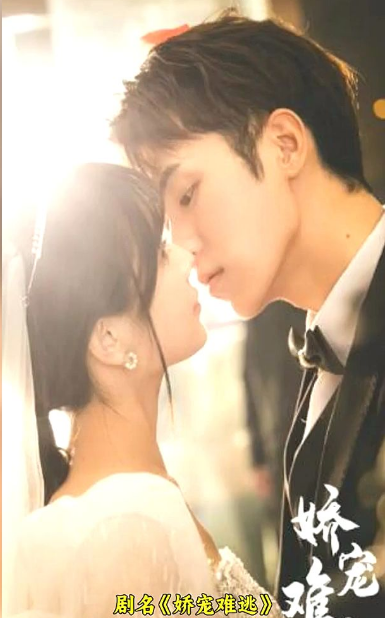 那年那兔那些事儿第七季