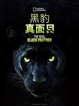 我仍在此2024