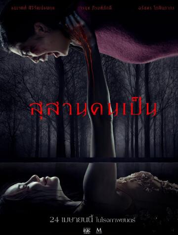 首富老妈归来重写族谱