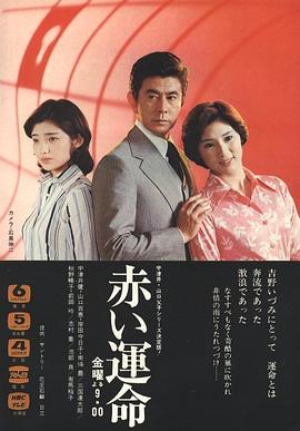 35岁被裁员后一路狂飙