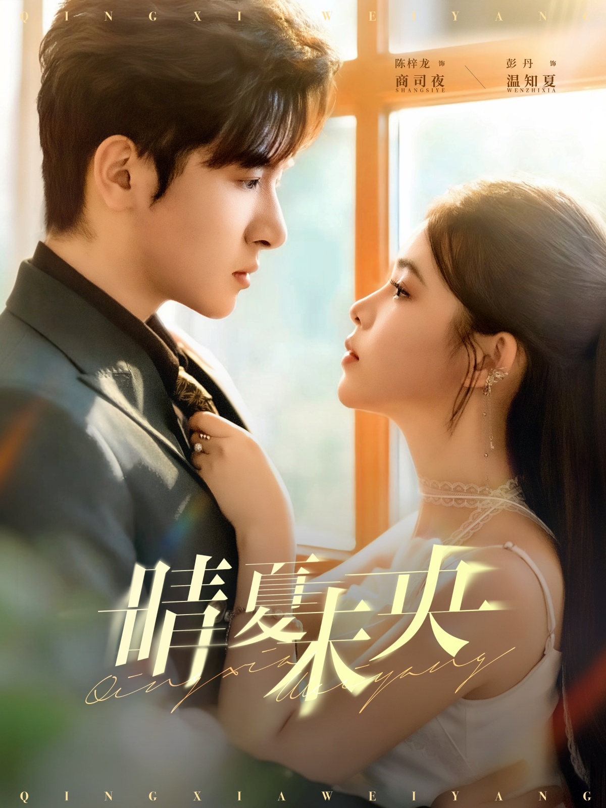 慈母贤妻不识婿