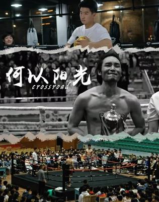 八角笼中短剧版