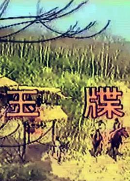 绝不会爱上你了