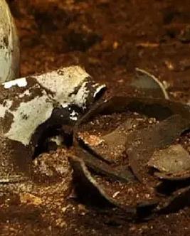 新春佳缘萌娃拉着苏小姐喊妈妈