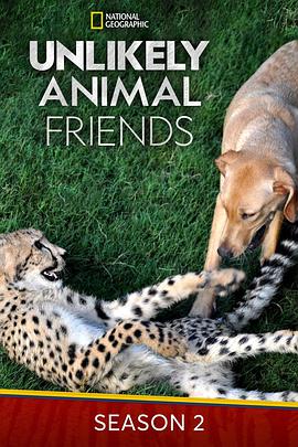 贩卖疑惑的商人